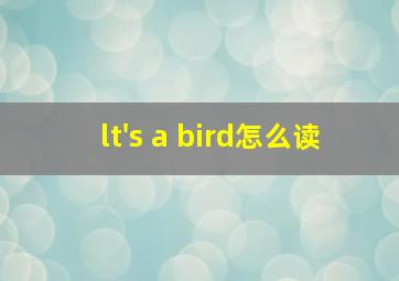 lt's a bird怎么读